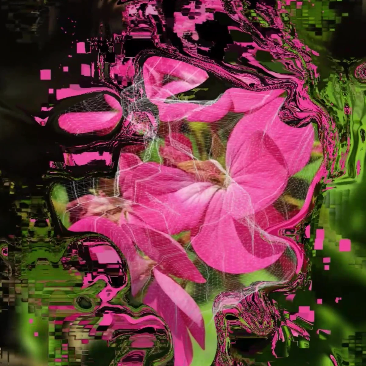 Mauro Cosenza y el arte generativo que reinventa la flora