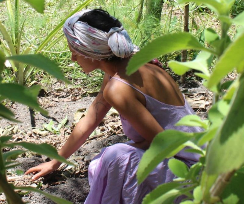 Empreendedorismo à favor da vida e regeneração da terra