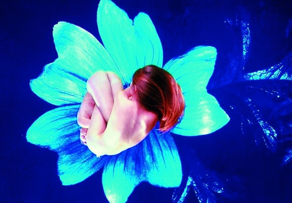 Novas Vozes e Imersões no Inhotim: Pipilotti Rist, Rebeca Carapiá e Rivane Neuenschwander